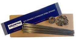 Alpina spoke LDR 13G Stainless Steel starter kit silver including nipples and nipple spanner