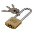 tricircle padlock 25mm with long shackle box